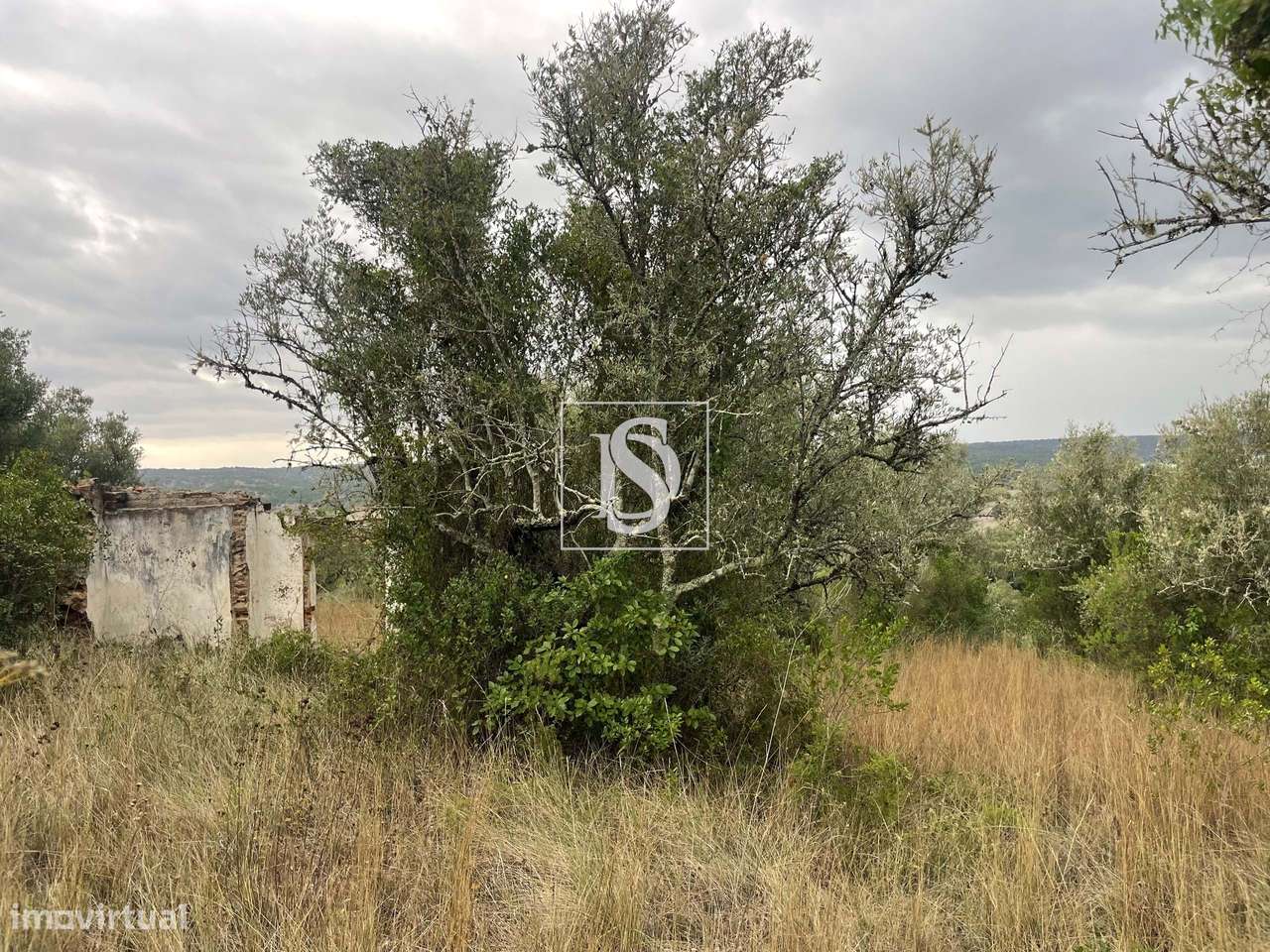 Quintinha em Montargil-10