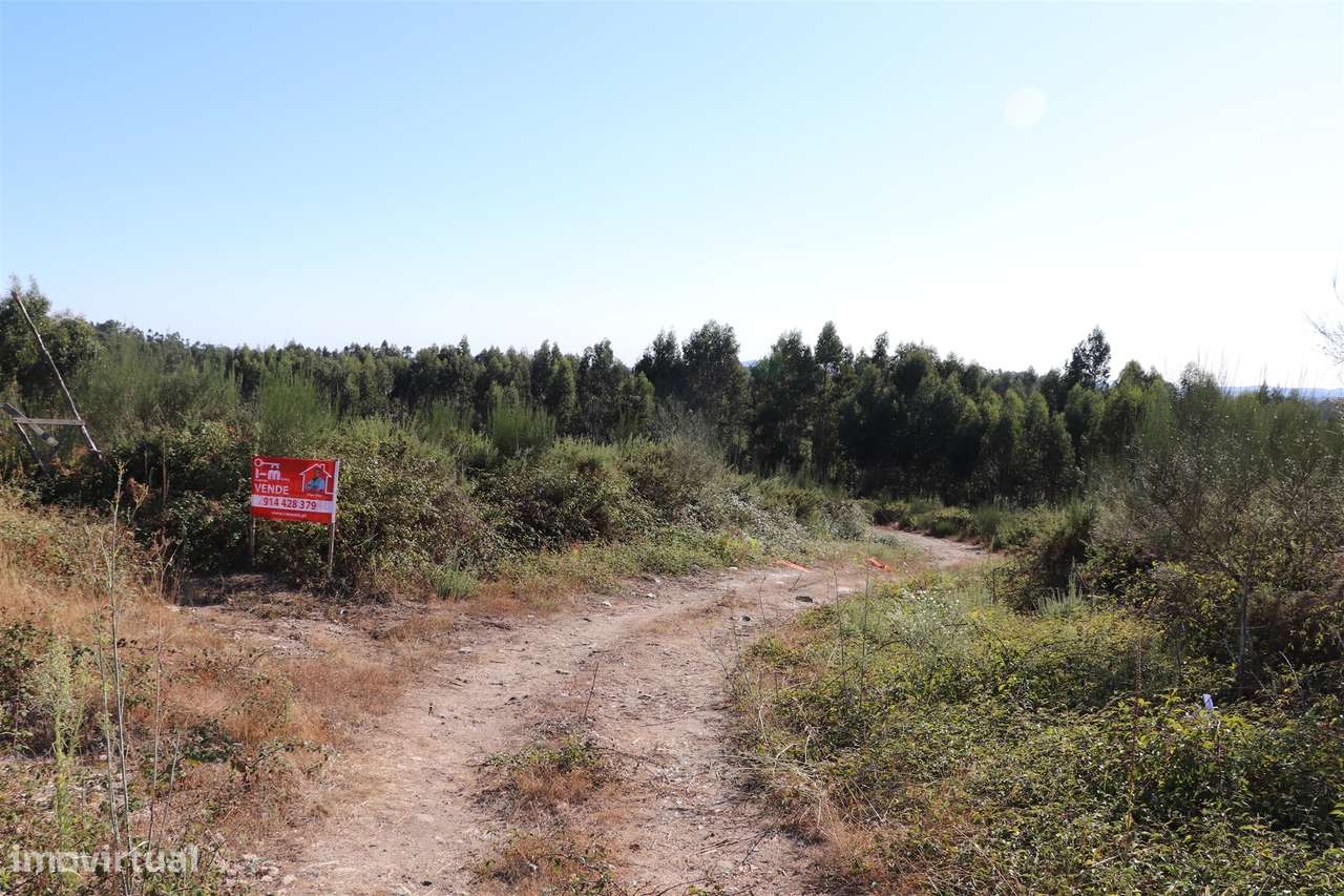 Lote de Terreno  Venda em Lustosa e Barrosas (Santo Estêvão),Lousada - Grande imagem: 3/6