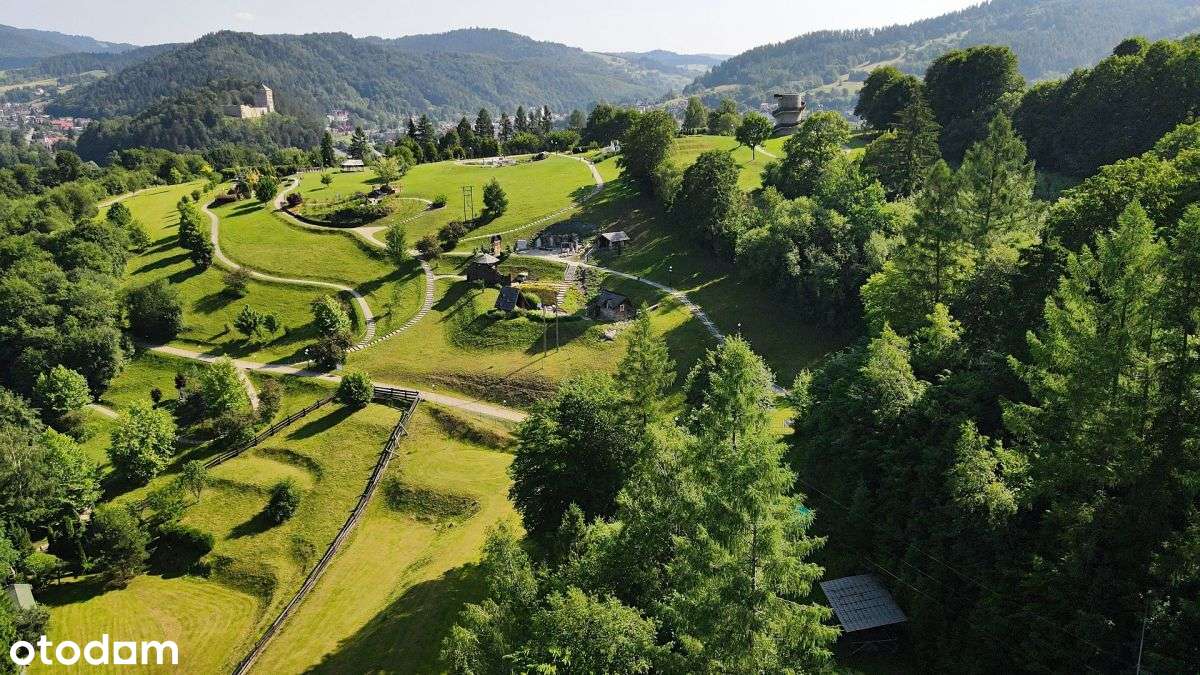 Muszyna pięknie położony pensjonat z 1930 roku - Pełny obrazek: 4/20