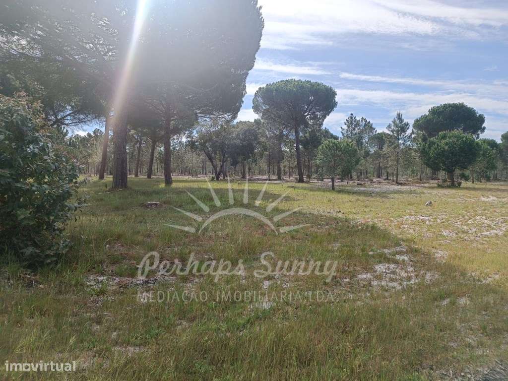 Herdade Bicas - Comporta-19