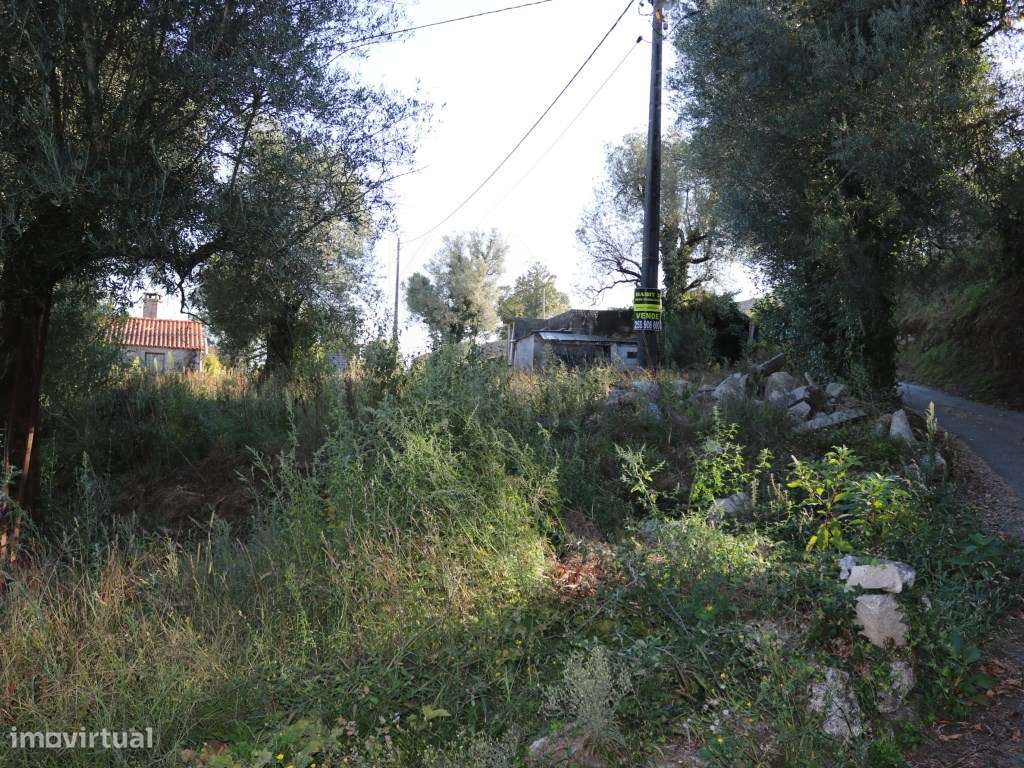 Terreno para construção na Gandra - Grande imagem: 3/6