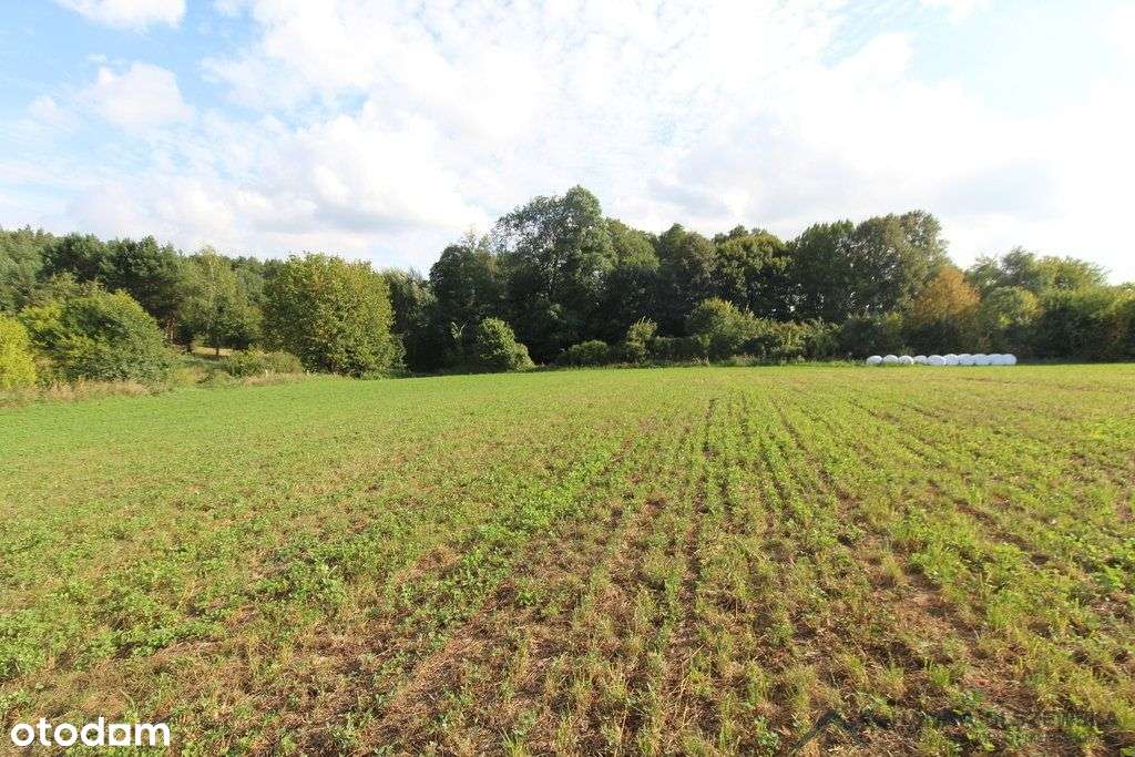 Działa przy jeziorze Łąkorz-5