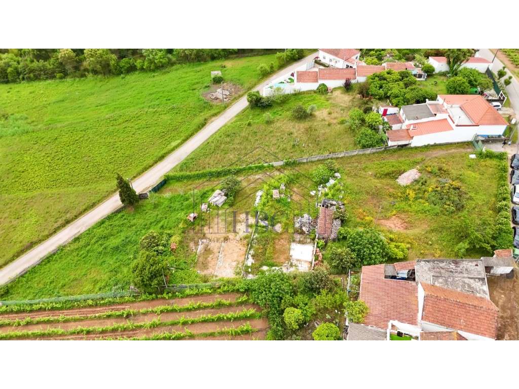 Terreno com Potencial de Construção e Vista Serra de Montejunto - B...-8