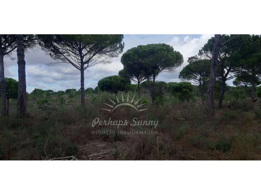 Terreno Rústico - 30 Ha - Grande imagem: 2/5