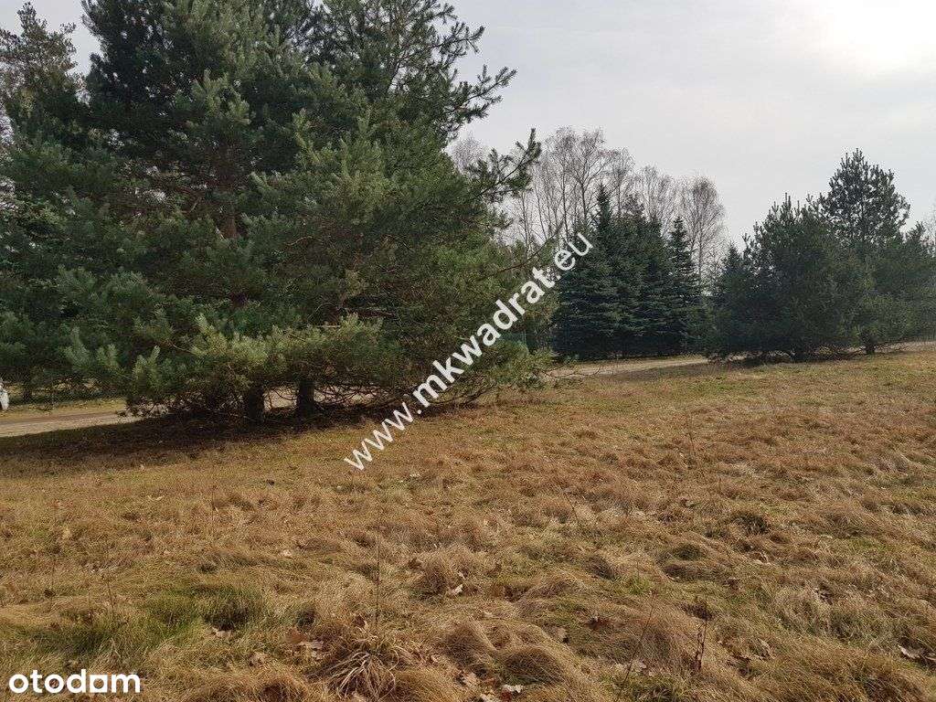 ⭐⭐⭐⭐⭐ Urokliwa Działka Makówka 1600m ⭐⭐⭐⭐⭐ - Pełny obrazek: 5/8