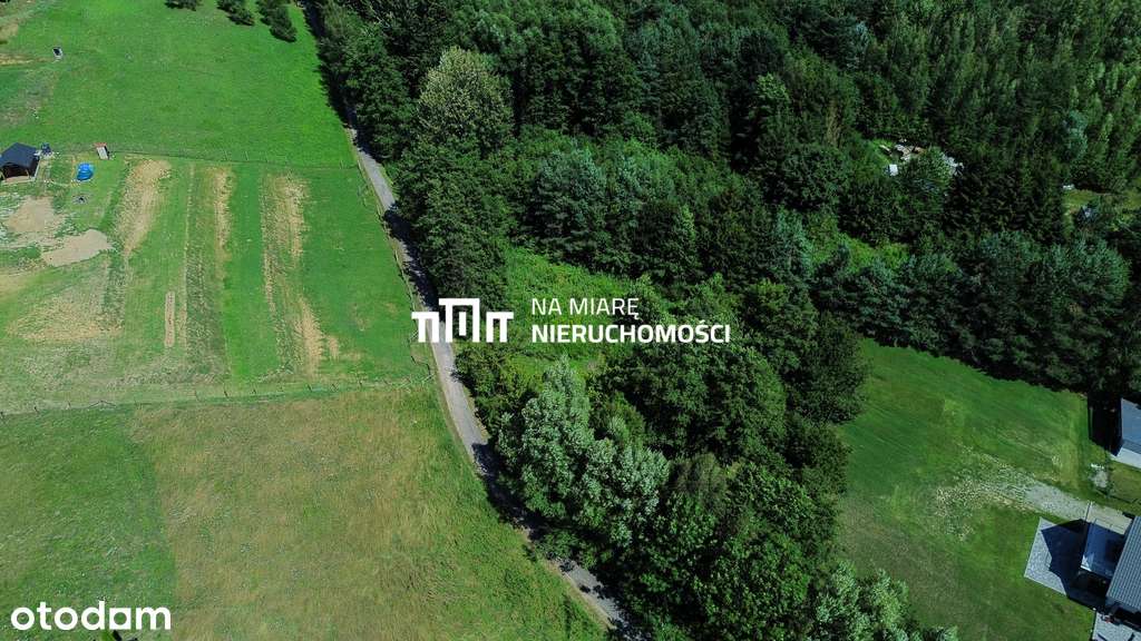 Z Warunkami Zabudowy, przy lesie, os. Biała