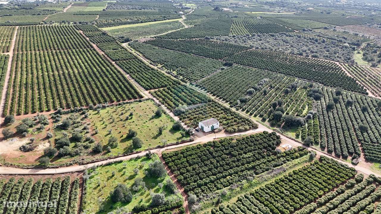 Terreno Rústico  Venda em Alcantarilha e Pêra,Silves - Grande imagem: 5/10
