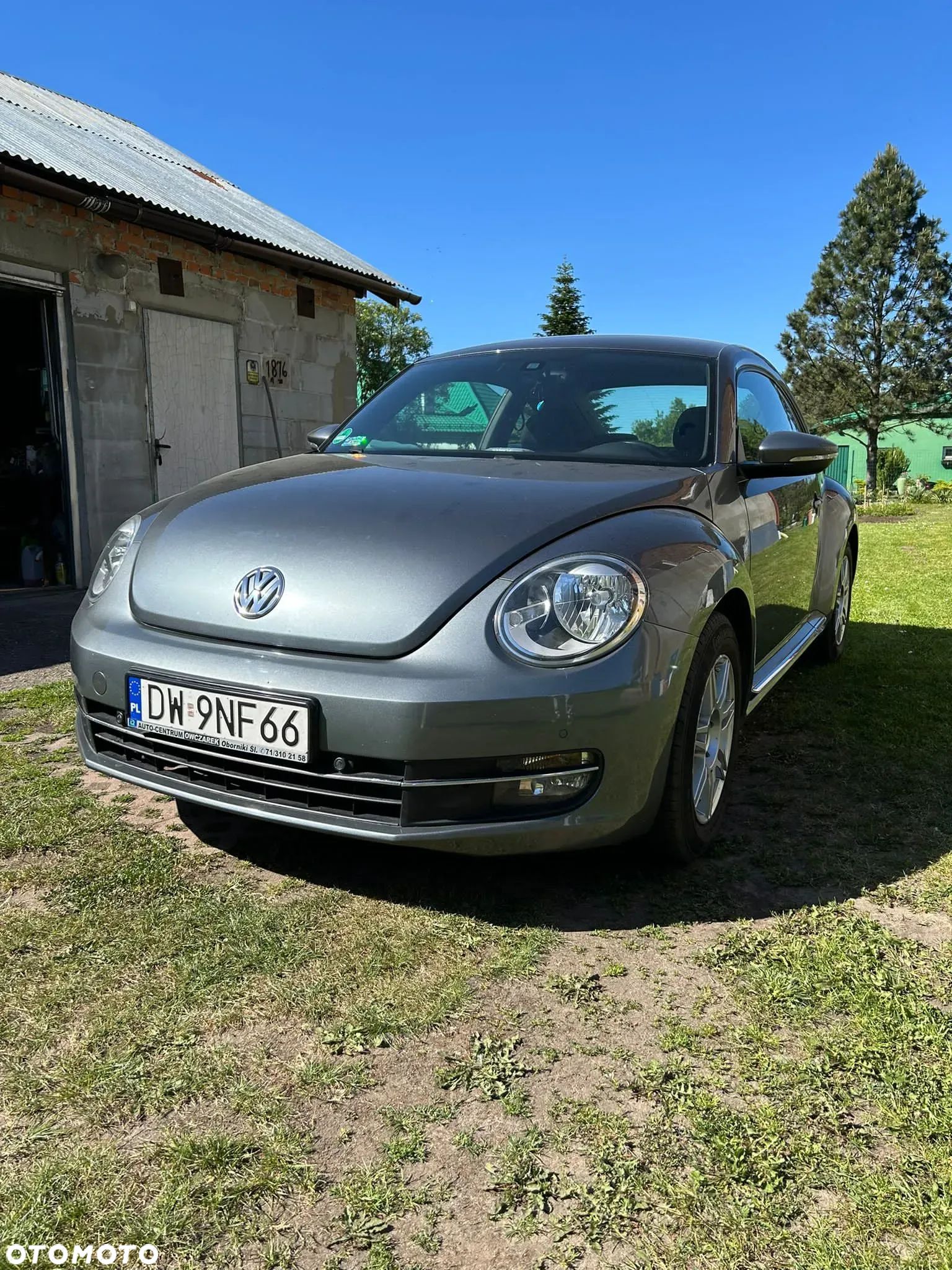 Volkswagen Beetle - 1