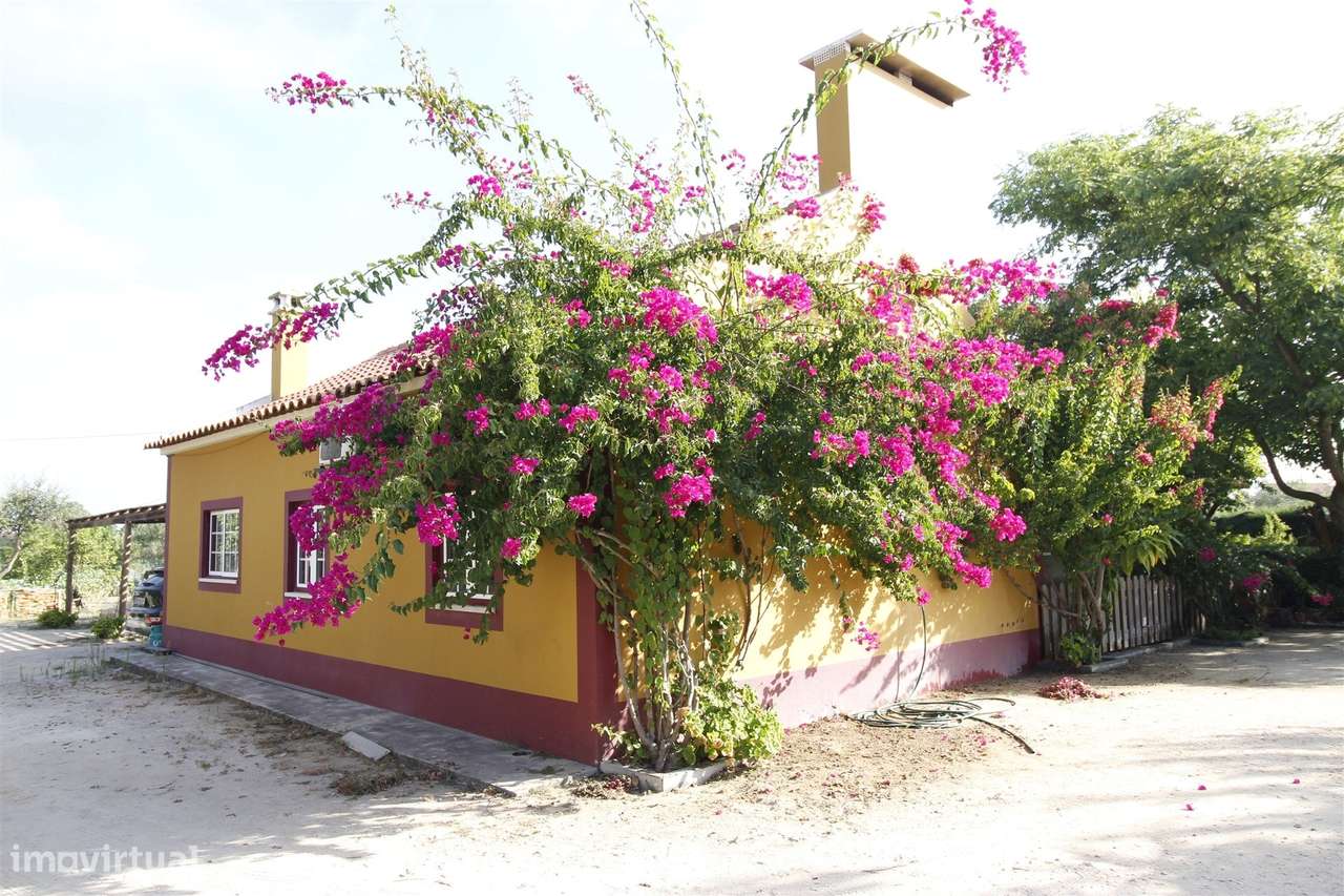 Quinta  Venda em Vendas Novas,Vendas Novas-13