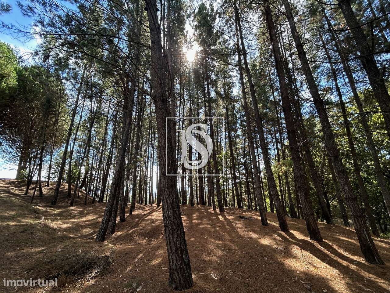 Quinta com 16500m2-50