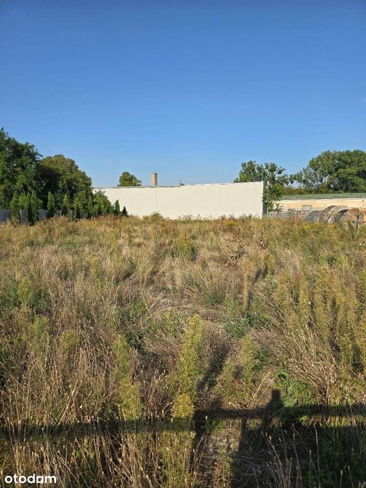 Działka inwestycyjna w Gorzowie Wielkopolskim - Pełny obrazek: 5/7