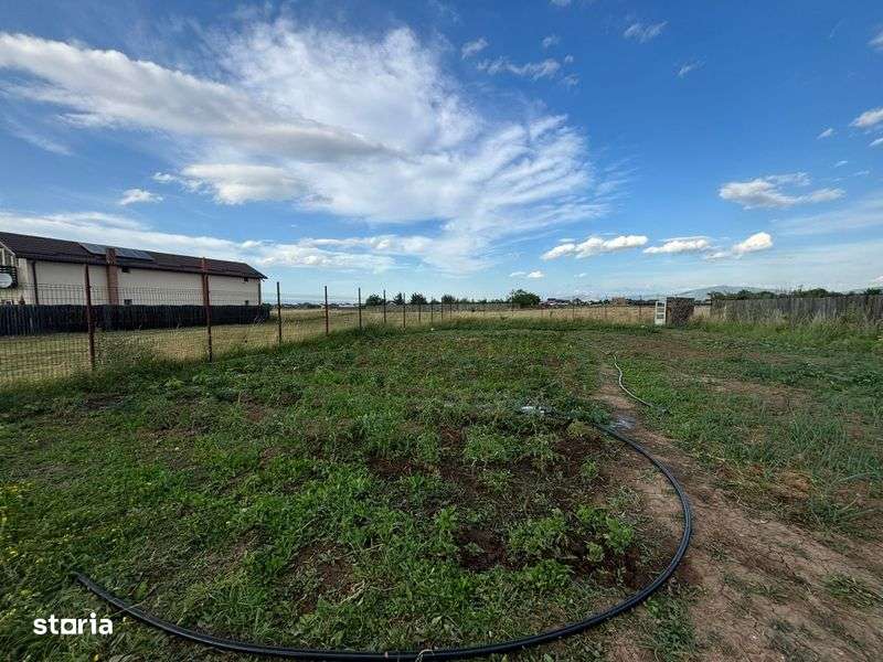 Teren de vanzare - Imagine principală: 5/5