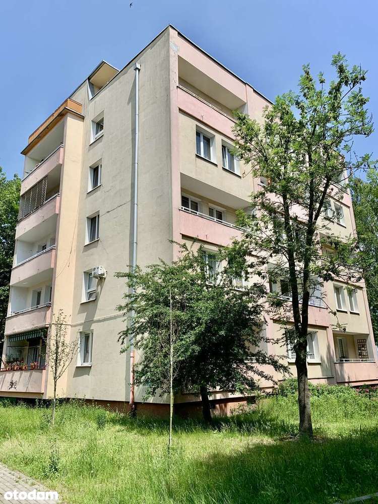 Mieszkanie - 2 pok. ul. Harcerska-11