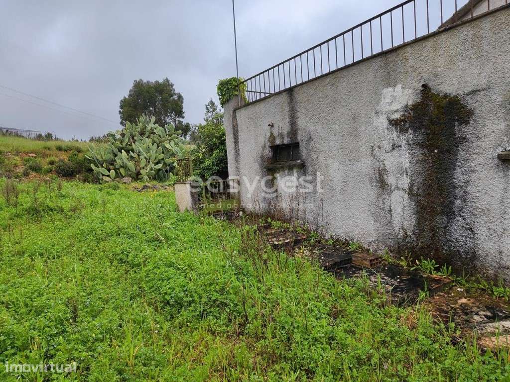 Casa Independente na aldeia de São Domingos próximo de Sarzedas - Grande imagem: 5/40