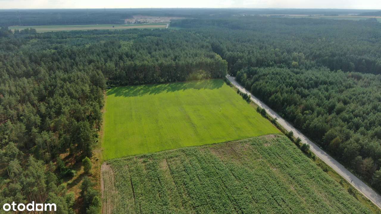 Działki pod lasem – Twój dom na Kaszubach - Pełny obrazek: 5/6