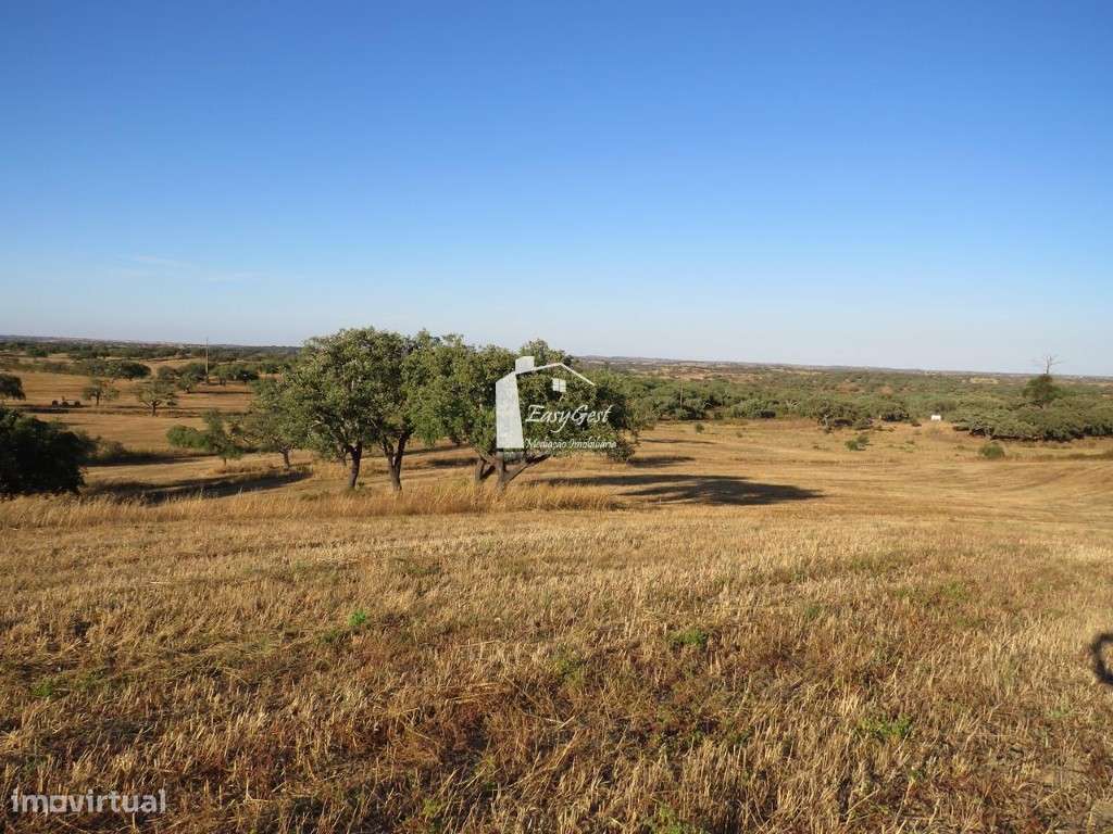 Terreno Rústico com 39.100m2 perto da Barragem da Rocha - Grande imagem: 3/16