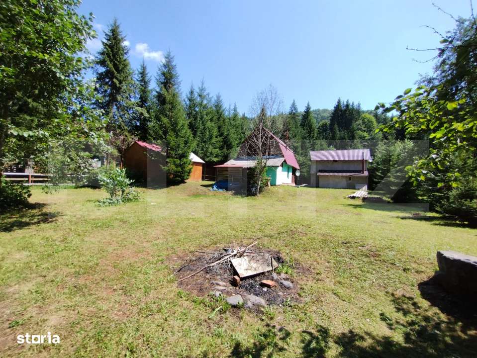 Cabana 4 camere Lunca Bradului - Imagine principală: 5/19