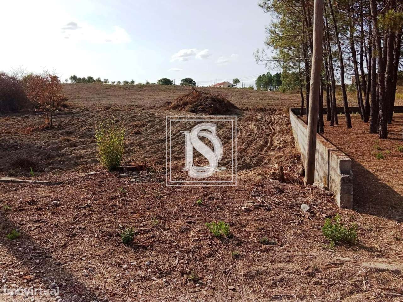 Terreno em UDF de Serra e Junceira-12