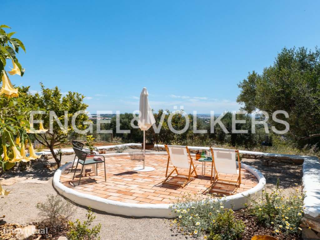 Olive Heritage-38
