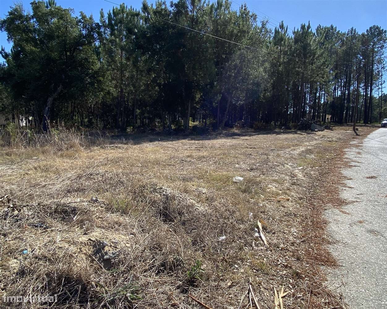 Terreno rustico /  Fagundo / Marinha Grande - Grande imagem: 5/5