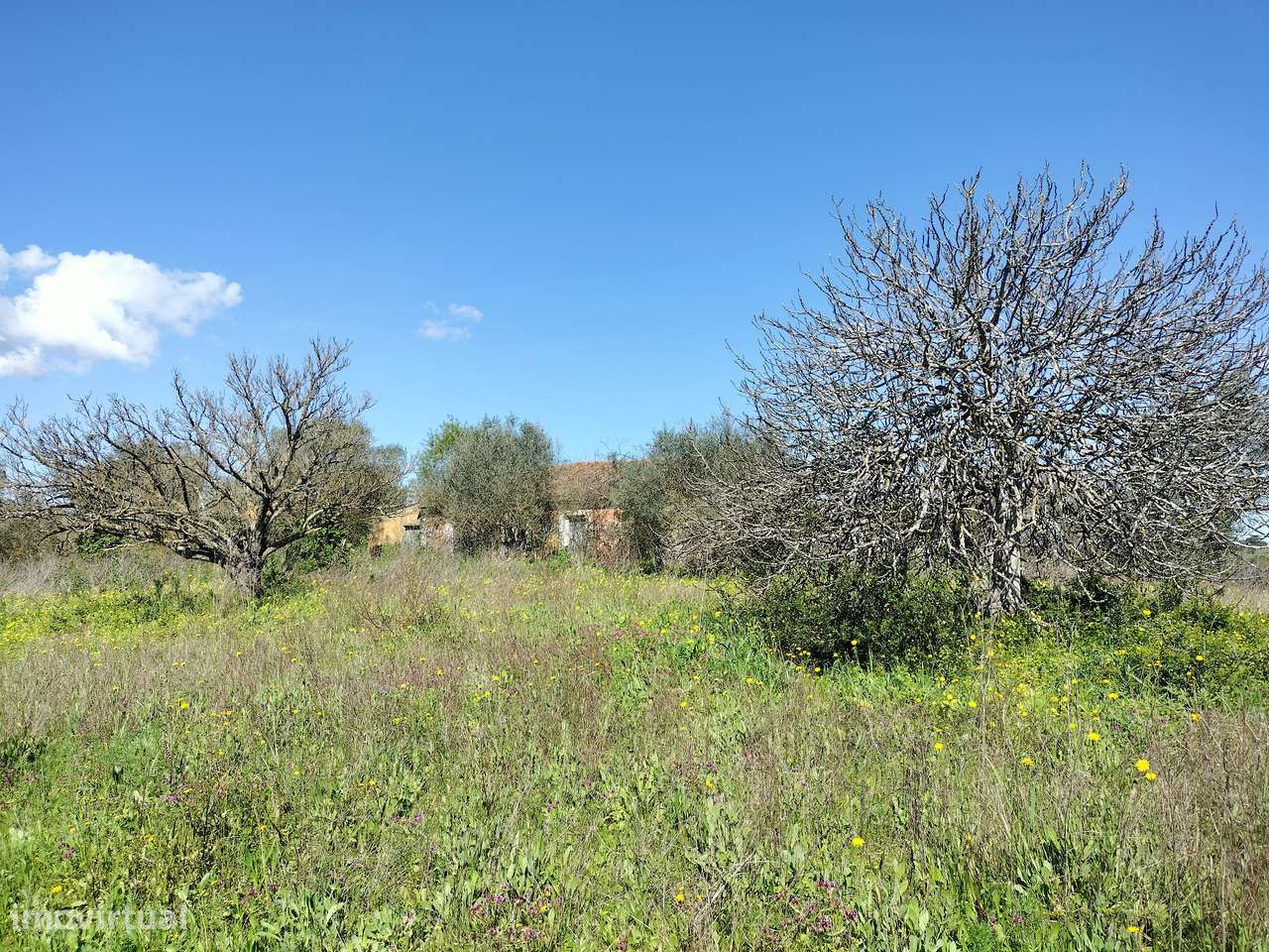 Moradia para Recuperar nas Abitureiras - Grande imagem: 5/11