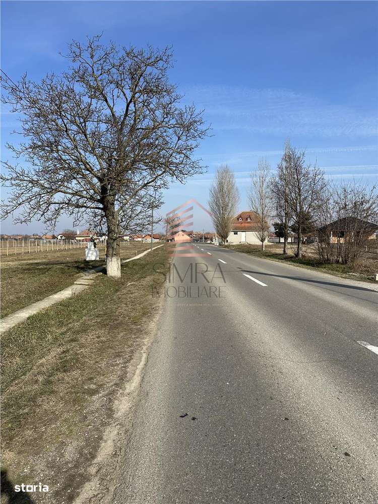 Teren intravilan Girisu De Cris-2