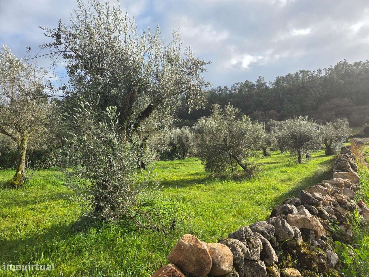 Terreno para construção || Ansião || Casais Da Granja - Grande imagem: 5/18