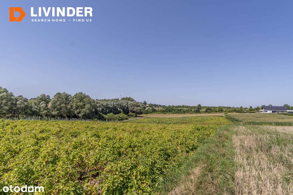 Piękna działka pod zabudowę bardzo blisko Krakowa - Pełny obrazek: 5/5