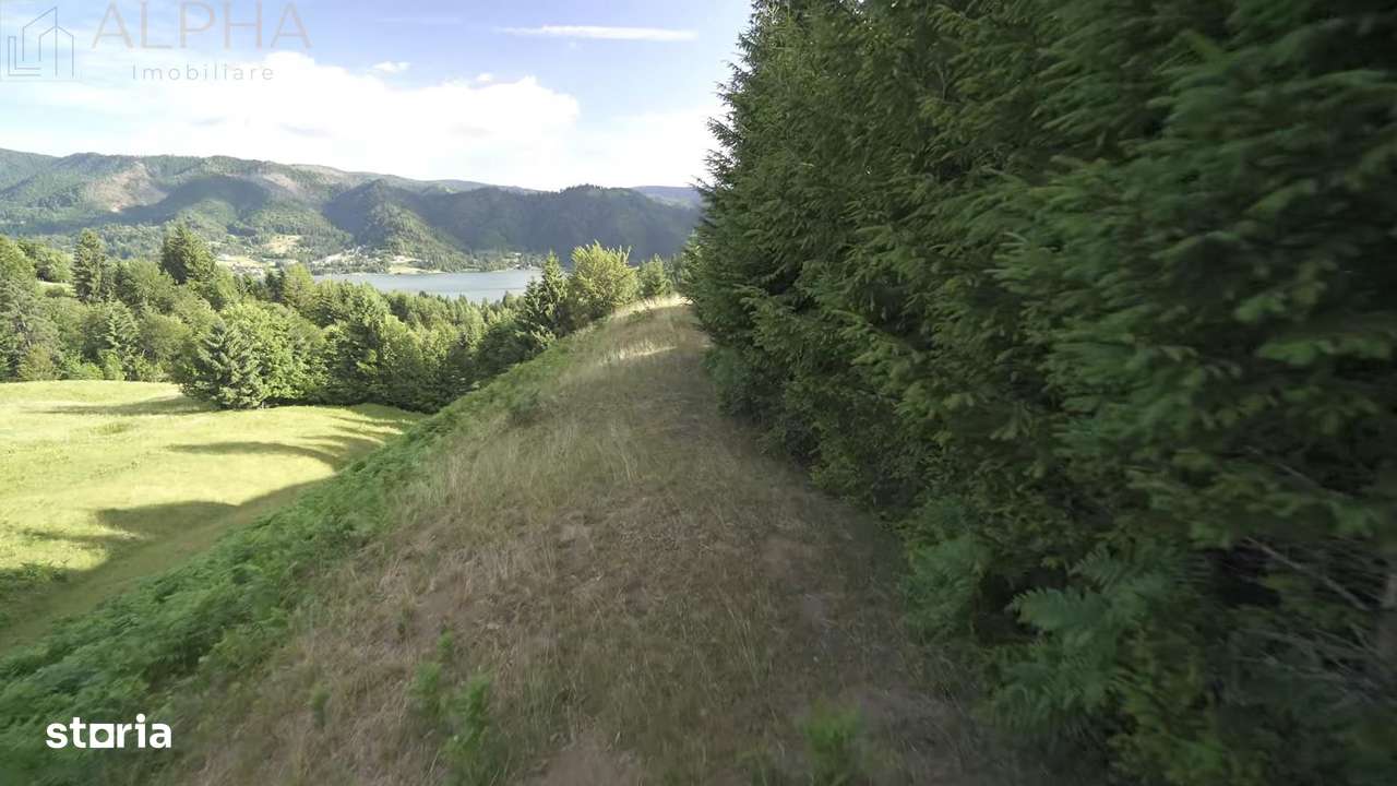 Teren Intravilan de 1.7 Hectare în Colibita - Imagine principală: 4/8