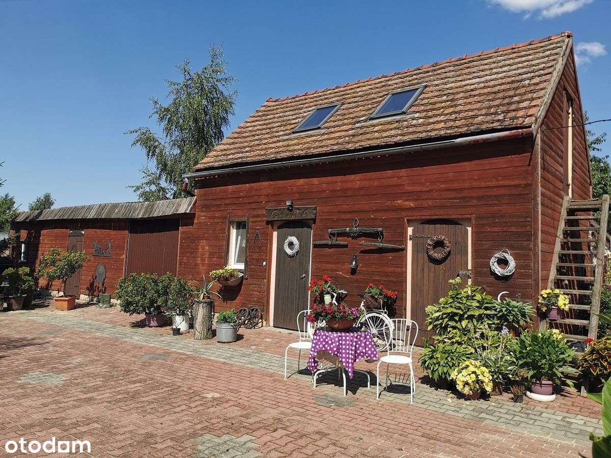 magiczne siedlisko w Foluszu koło Pleszewa-13