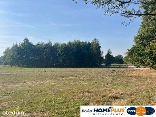 Działka 2,2 ha budowlano-rolna S8 25 km od Wawy - Pełny obrazek: 4/14