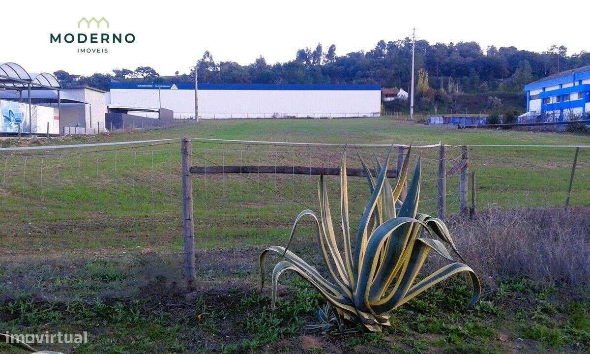 Lote industrial, Quinta do Arneiro - Chamusca - Grande imagem: 5/9
