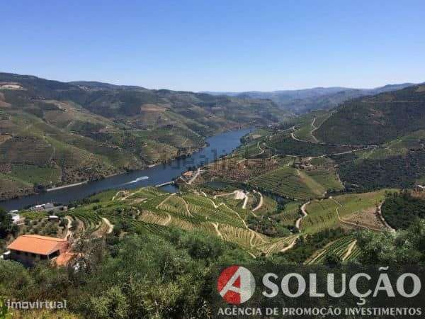 Terreno Edificavel - Vistas sobre Rio Douro - Grande imagem: 2/5