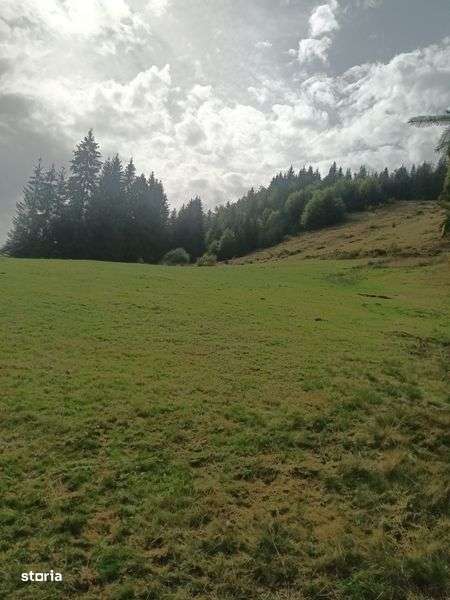 Vand teren Arieseni - Imagine principală: 5/5