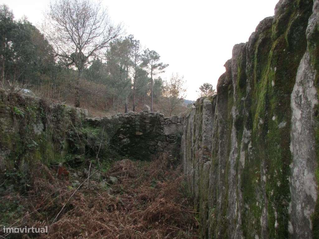 Terreno em Gondufe - Grande imagem: 4/8