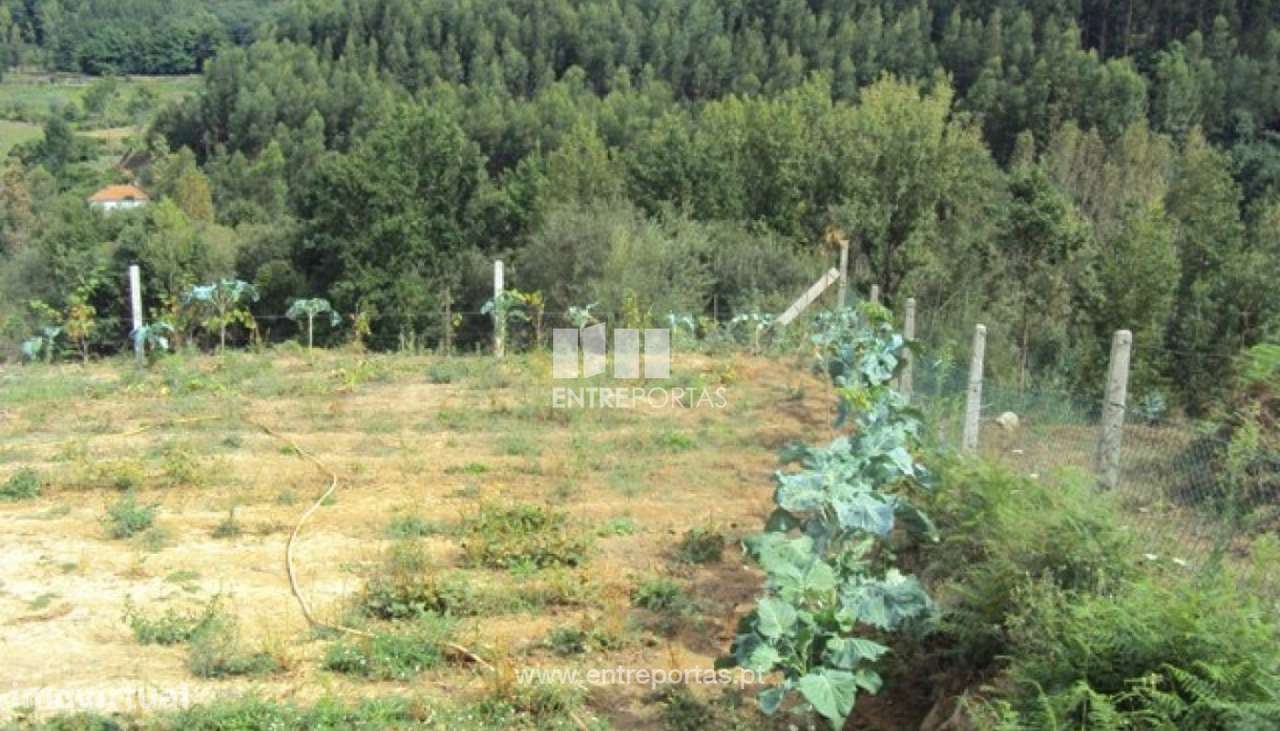 Venda Terreno, Santiago de Piães, Cinfães - Grande imagem: 3/22