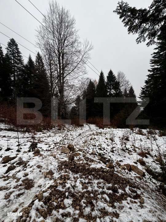 Teren unic, exclusivist  4000 mp, in inima muntilor, Sinaia - Imagine principală: 4/15