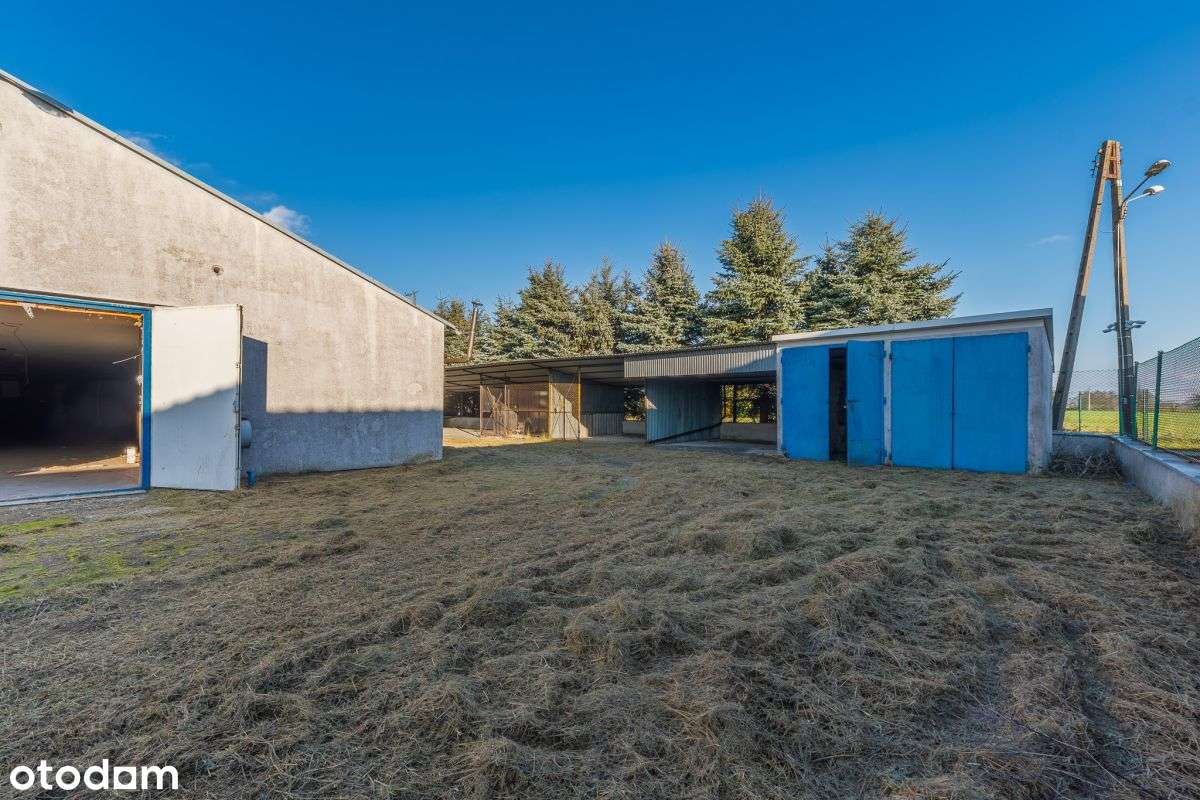 Hale magazynowo-produkcyjne na sprzedaż-11