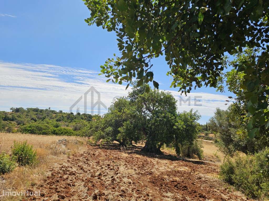 Terreno Rústico Plano nas Ferreiras - Albufeira - Excelente Localiz...