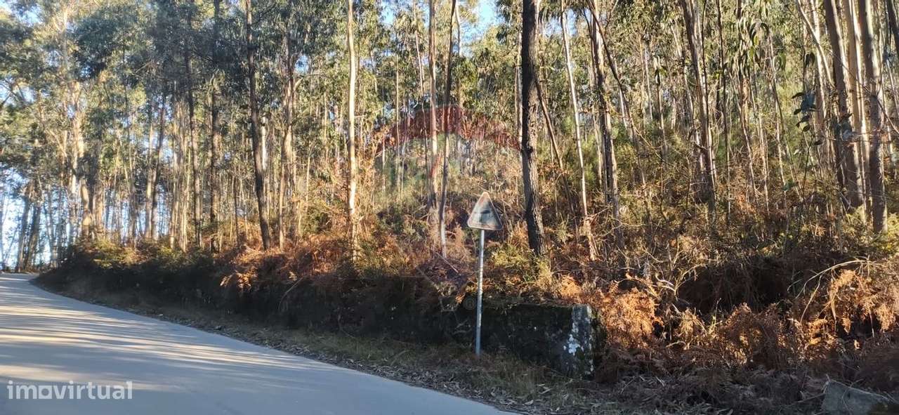 Terreno  para venda - Grande imagem: 2/3