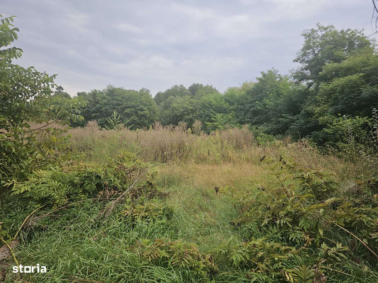 Teren Titesti Arges - Imagine principală: 3/4