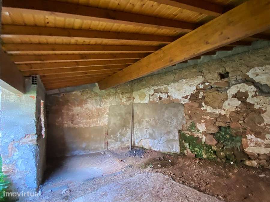 Adega e anexos para recuperar, com logradouro, a 10 min de C da Rainha-9