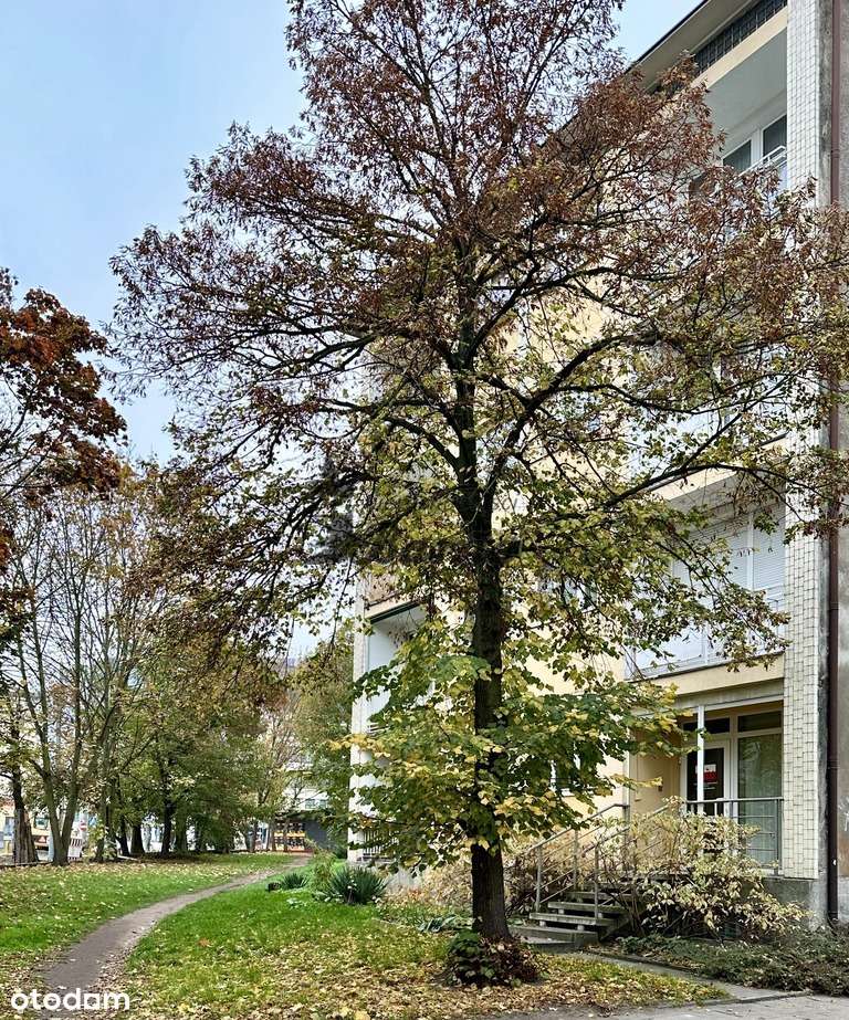 Mieszkanie na parterze z wyjściem na taras/ogród - Pełny obrazek: 3/16