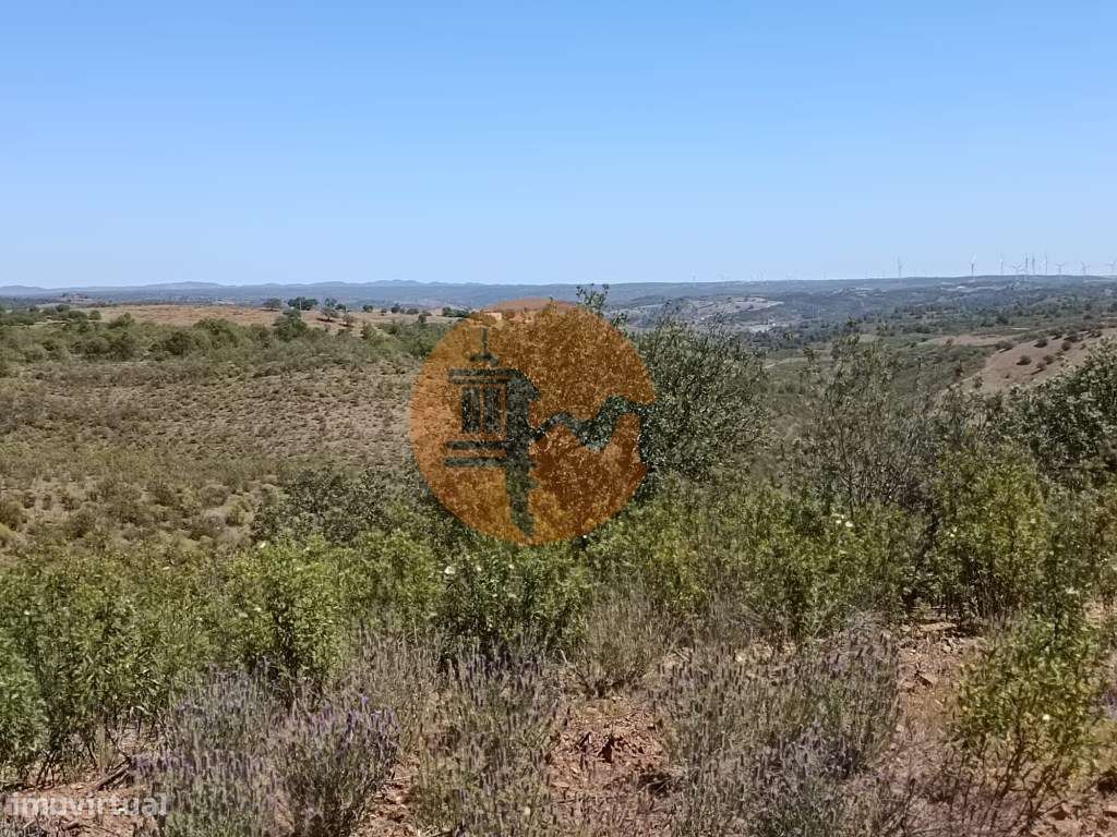 TERRENO COM 34.700 M2 - POSSIBILIDADES DE CONSTRUIR UM ARMAZEM - PR...-31