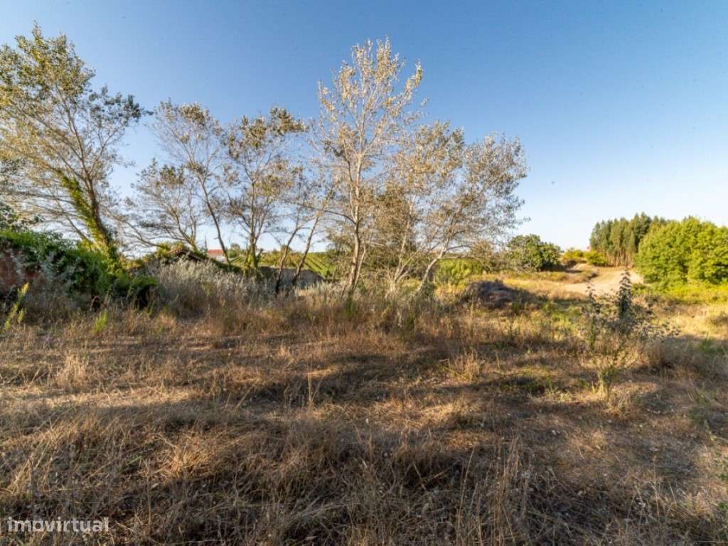 Quinta - Freiria - Sobral Monte Agraço-12