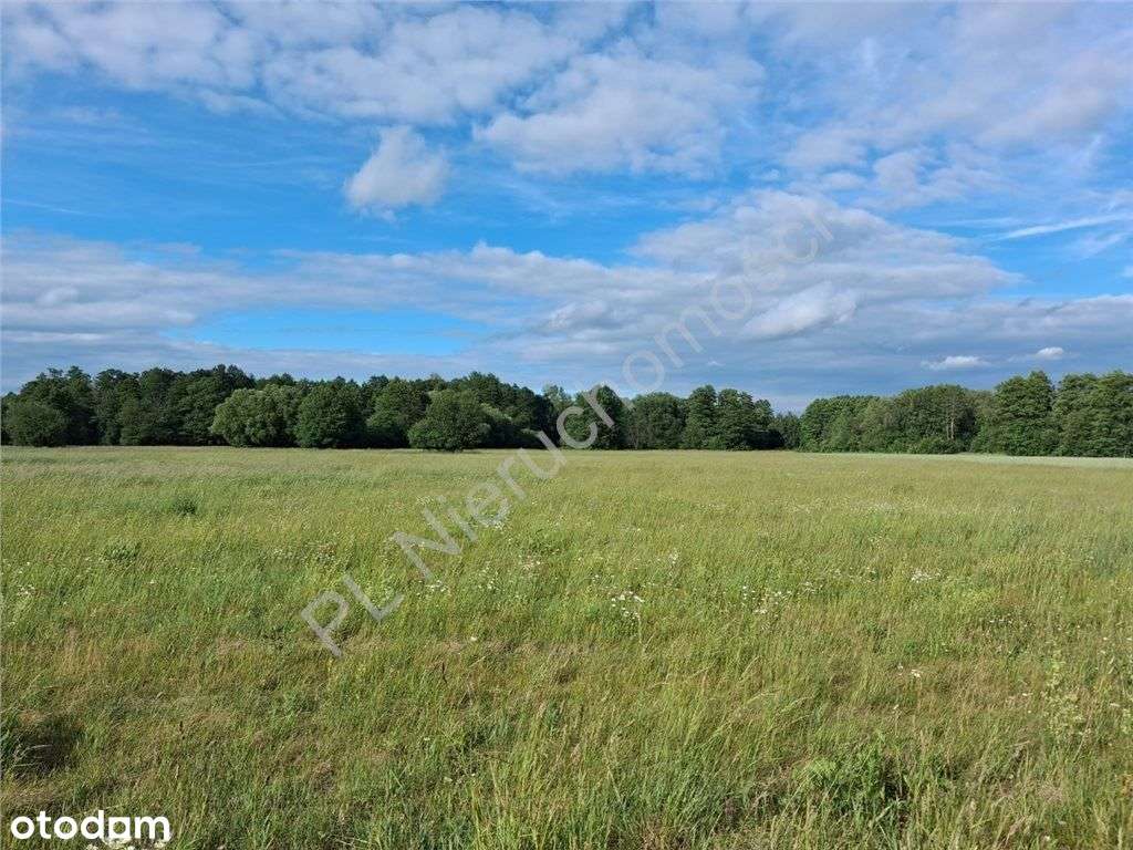 Działka, 10 600 m², Stare Budy