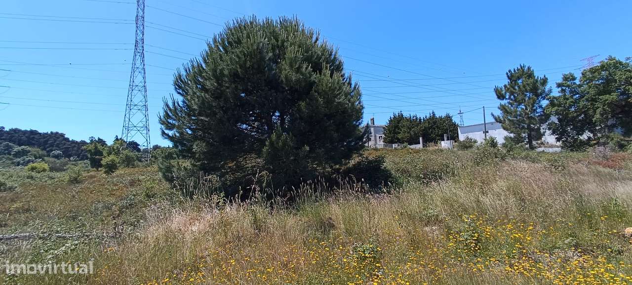 Terreno Rústico – Palmela-9