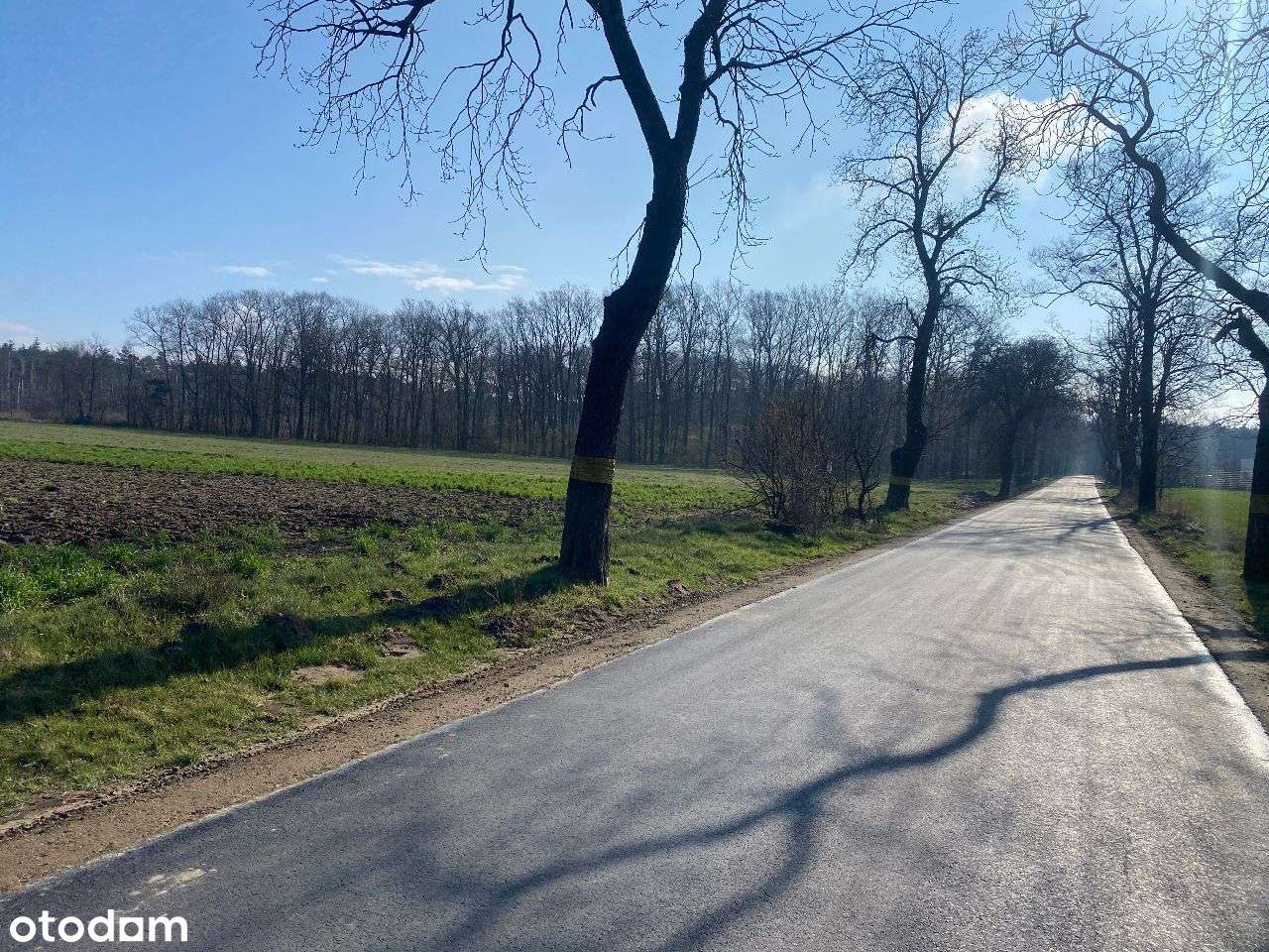 Działki przy lesie - Pełny obrazek: 4/7