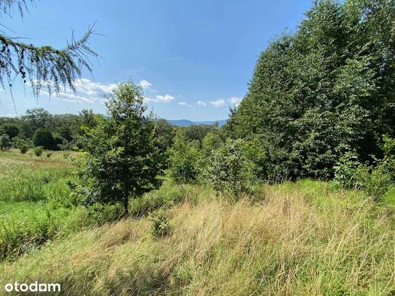 Żywiec ul Niwy -działka budowlano-leśna ,media w drodze, wąska droga-2