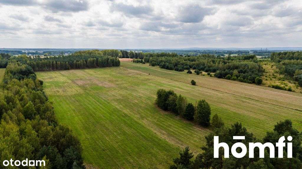 Działka bogata w piach, niedaleko Szydłowca. - Pełny obrazek: 5/19